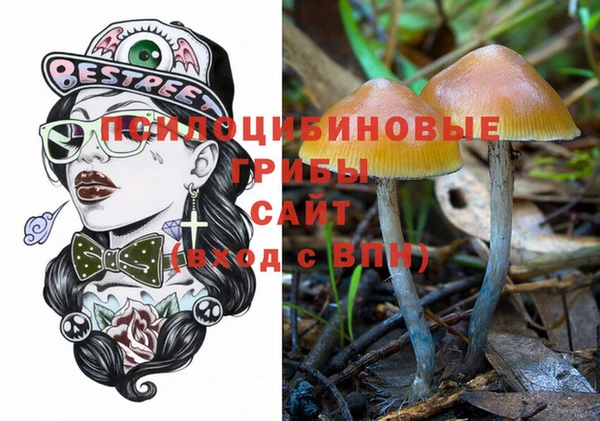 МДПВ Дмитров